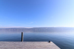 スイスの物価は本当に高い？リアルな値段感覚と節約のコツ